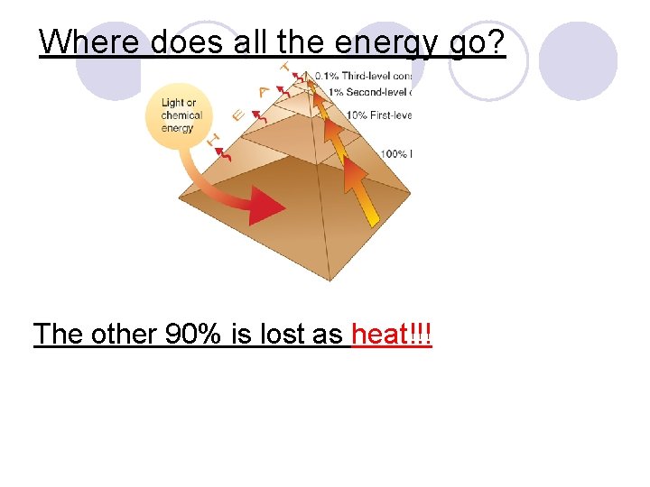 Where does all the energy go? The other 90% is lost as heat!!! 