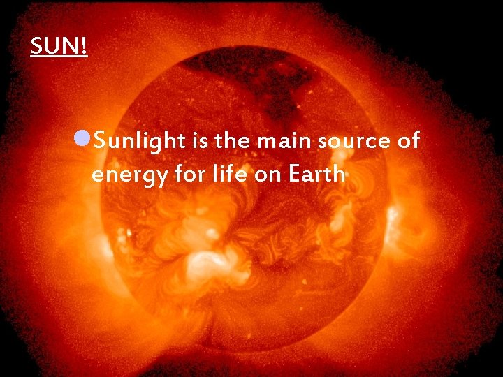 SUN! l. Sunlight is the main source of energy for life on Earth 