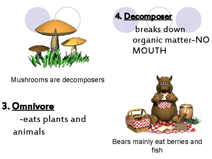 4. Decomposer ¡breaks down organic matter-NO MOUTH Mushrooms are decomposers 3. Omnivore -eats plants
