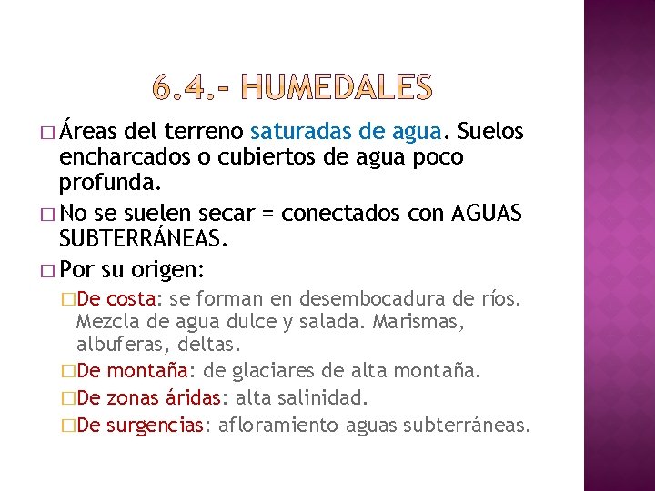 � Áreas del terreno saturadas de agua. Suelos encharcados o cubiertos de agua poco