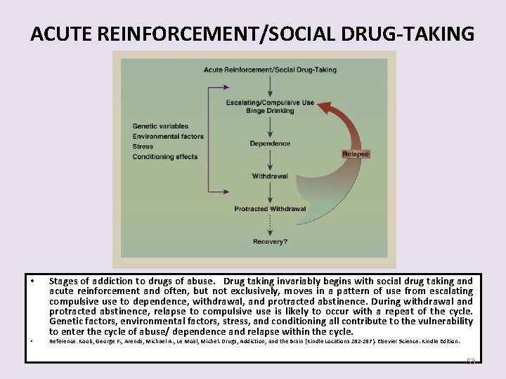 ACUTE REINFORCEMENT/SOCIAL DRUG-TAKING • • Stages of addiction to drugs of abuse. Drug taking