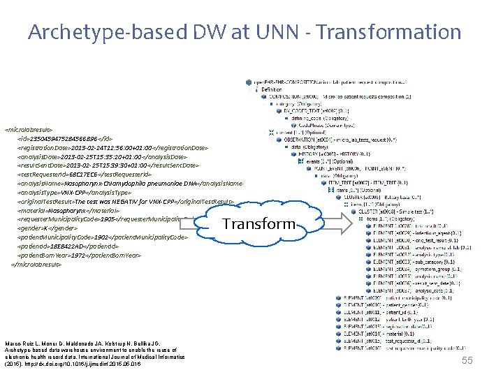 Archetype-based DW at UNN - Transformation <microlabresult> <id>2350459475284566896 </id> <registration. Date>2013 -02 -24 T
