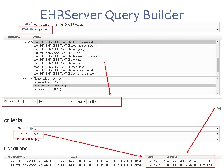 EHRServer Query Builder 