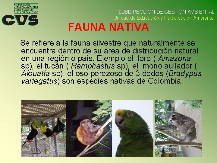 SUBDIRECCION DE GESTION AMBIENTAL Unidad de Educación y Participación Ambiental FAUNA NATIVA Se refiere