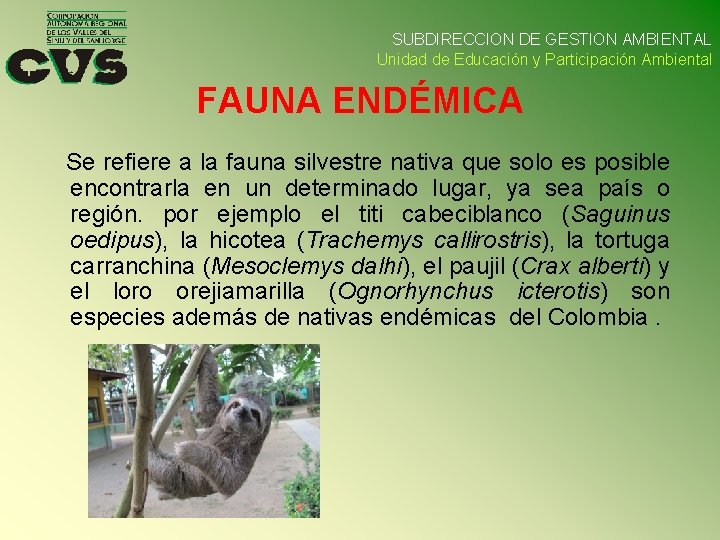 SUBDIRECCION DE GESTION AMBIENTAL Unidad de Educación y Participación Ambiental FAUNA ENDÉMICA Se refiere