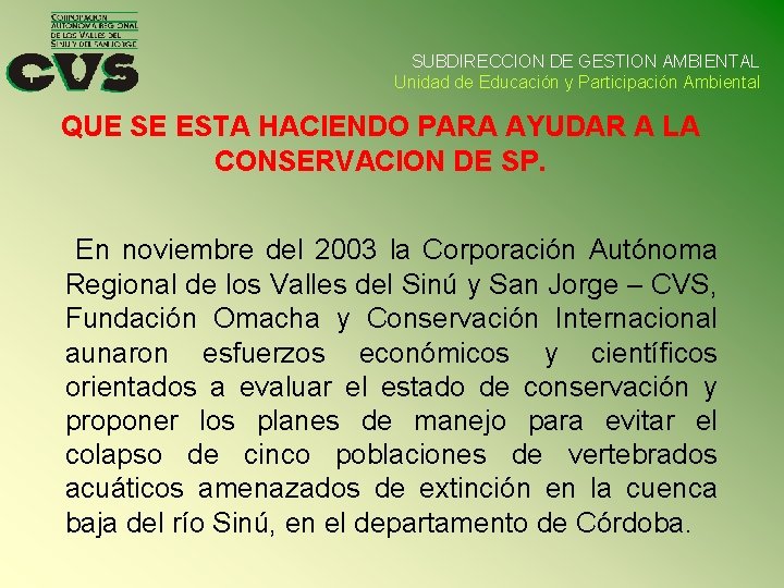 SUBDIRECCION DE GESTION AMBIENTAL Unidad de Educación y Participación Ambiental QUE SE ESTA HACIENDO