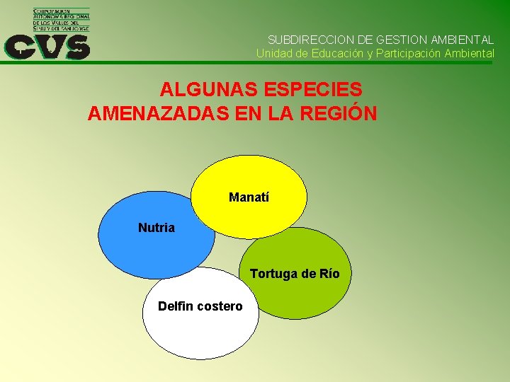 SUBDIRECCION DE GESTION AMBIENTAL Unidad de Educación y Participación Ambiental ALGUNAS ESPECIES AMENAZADAS EN