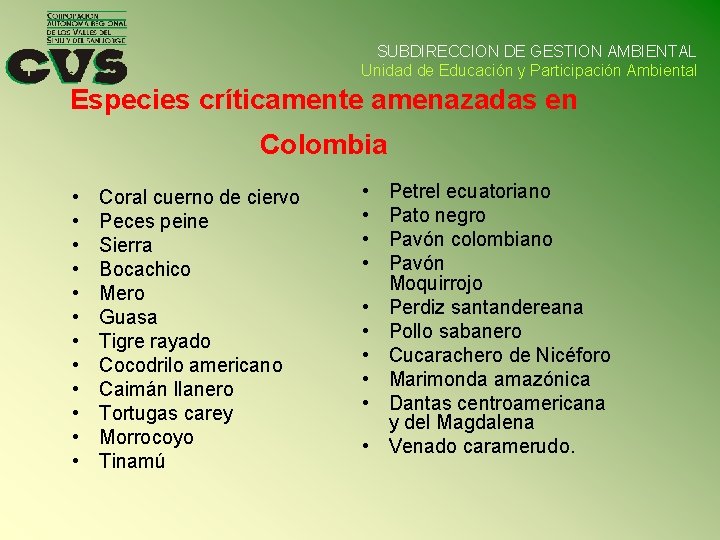 SUBDIRECCION DE GESTION AMBIENTAL Unidad de Educación y Participación Ambiental Especies críticamente amenazadas en