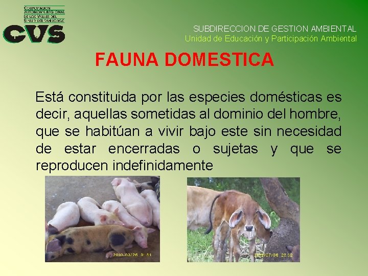 SUBDIRECCION DE GESTION AMBIENTAL Unidad de Educación y Participación Ambiental FAUNA DOMESTICA Está constituida