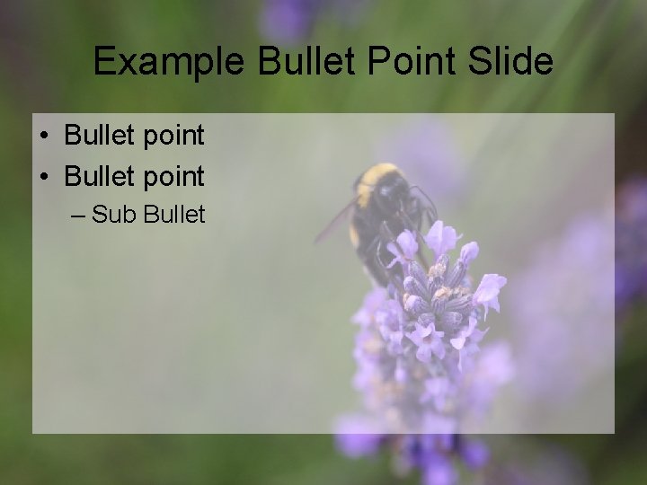 Example Bullet Point Slide • Bullet point – Sub Bullet 