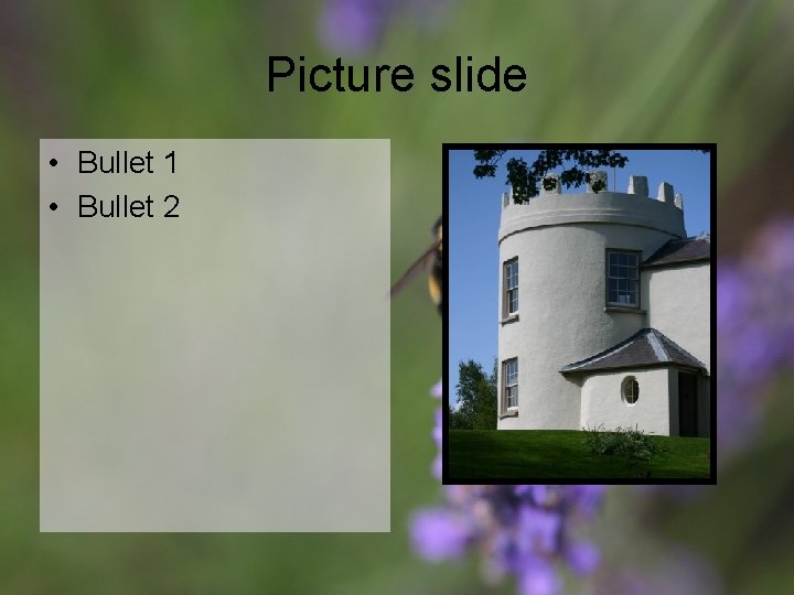 Picture slide • Bullet 1 • Bullet 2 