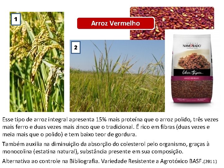 1 Arroz Vermelho 2 Esse tipo de arroz integral apresenta 15% mais proteína que