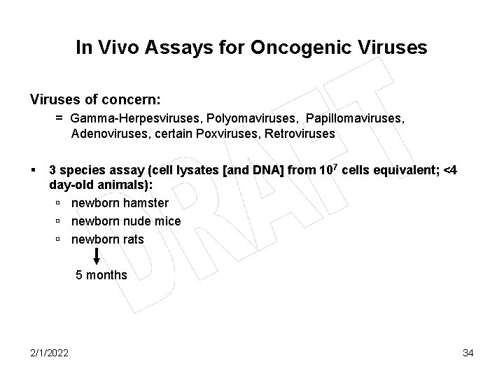 In Vivo Assays for Oncogenic Viruses of concern: = Gamma-Herpesviruses, Polyomaviruses, Papillomaviruses, Adenoviruses, certain