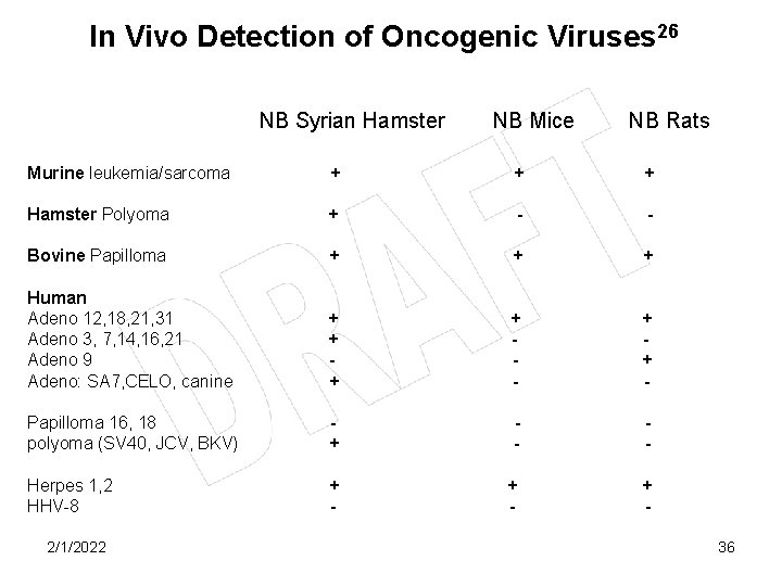In Vivo Detection of Oncogenic Viruses 26 NB Syrian Hamster NB Mice NB Rats