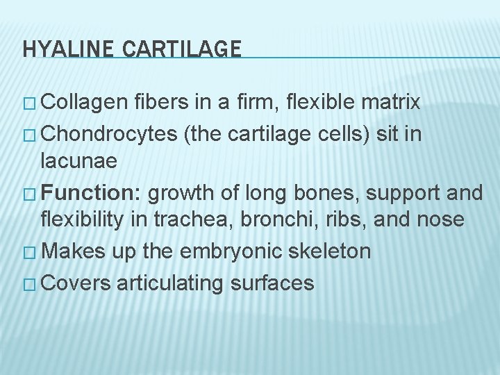 HYALINE CARTILAGE � Collagen fibers in a firm, flexible matrix � Chondrocytes (the cartilage HYALINE CARTILAGE � Collagen fibers in a firm, flexible matrix � Chondrocytes (the cartilage
