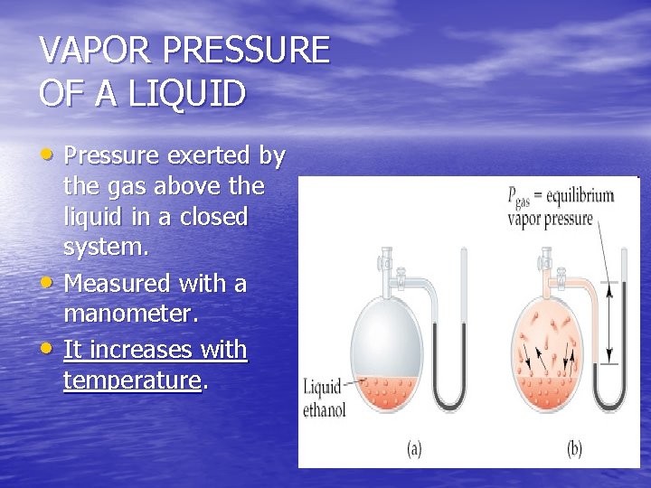VAPOR PRESSURE OF A LIQUID • Pressure exerted by • • the gas above