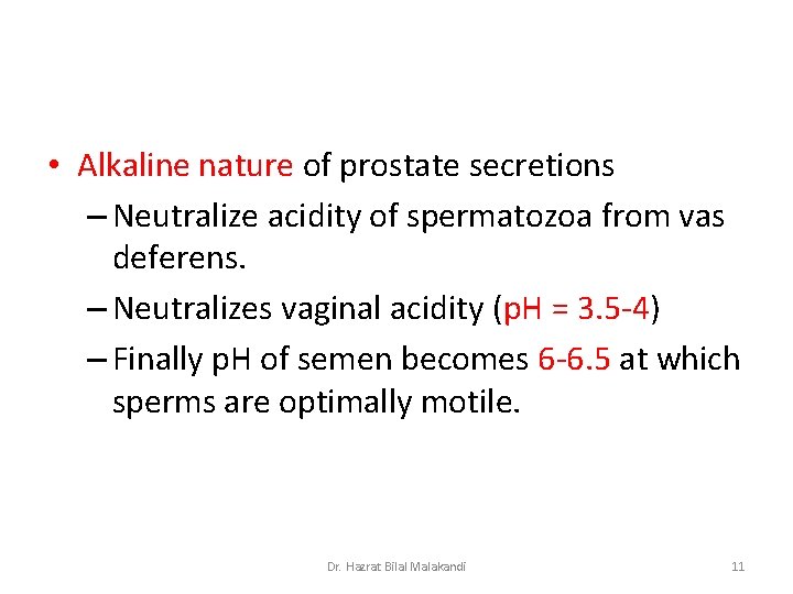  • Alkaline nature of prostate secretions – Neutralize acidity of spermatozoa from vas