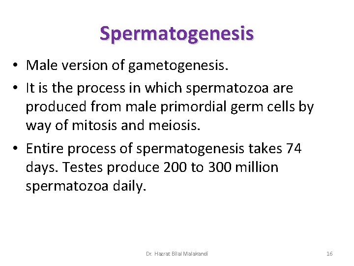 Spermatogenesis • Male version of gametogenesis. • It is the process in which spermatozoa