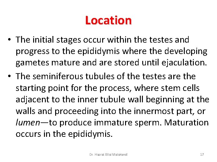 Location • The initial stages occur within the testes and progress to the epididymis