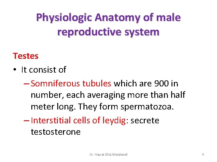 Physiologic Anatomy of male reproductive system Testes • It consist of – Somniferous tubules