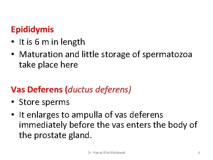 Epididymis • It is 6 m in length • Maturation and little storage of