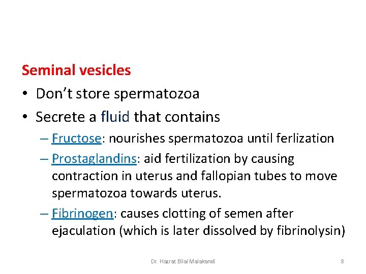 Seminal vesicles • Don’t store spermatozoa • Secrete a fluid that contains – Fructose: