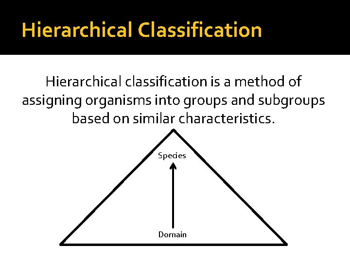Hierarchical Classification Hierarchical classification is a method of assigning organisms into groups and subgroups