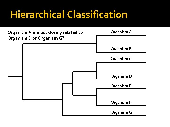 Hierarchical Classification Organism A is most closely related to Organism D or Organism G?