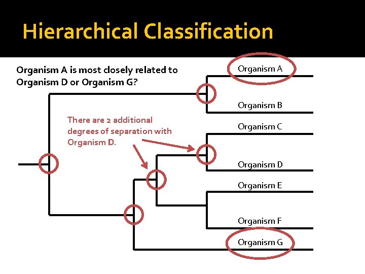 Hierarchical Classification Organism A is most closely related to Organism D or Organism G?