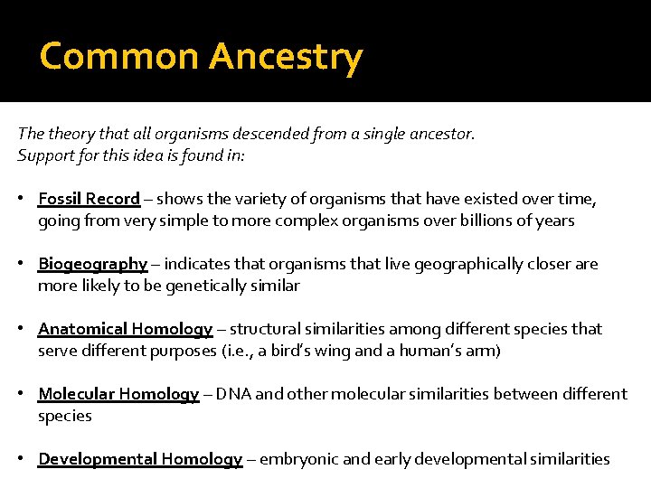 Common Ancestry The theory that all organisms descended from a single ancestor. Support for