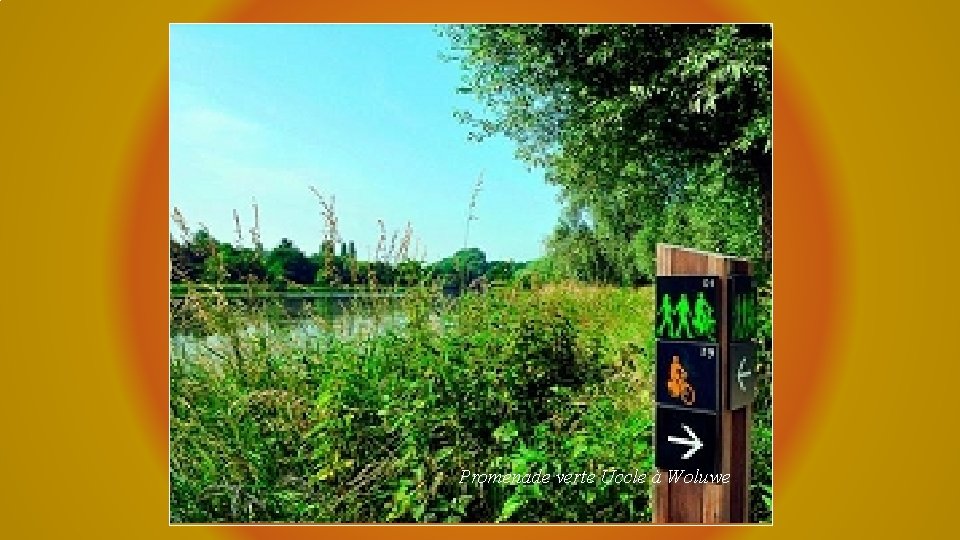 Promenade verte Uccle à Woluwe 