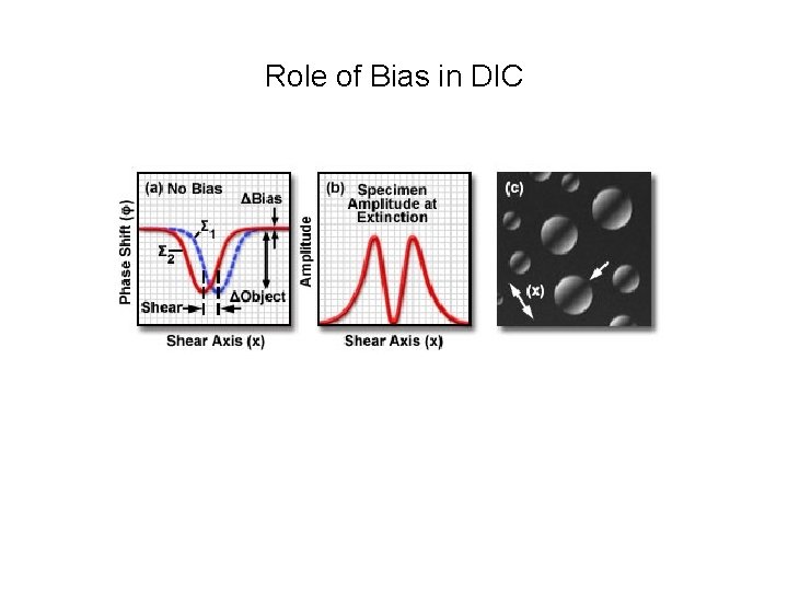 Role of Bias in DIC 