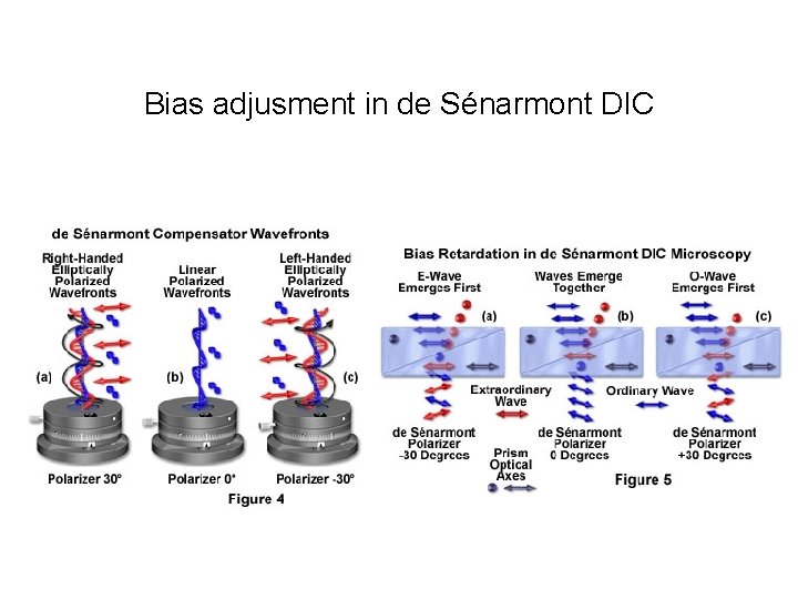 Bias adjusment in de Sénarmont DIC 