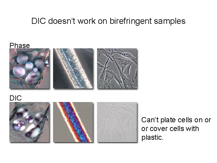 DIC doesn’t work on birefringent samples Phase DIC Can’t plate cells on or or