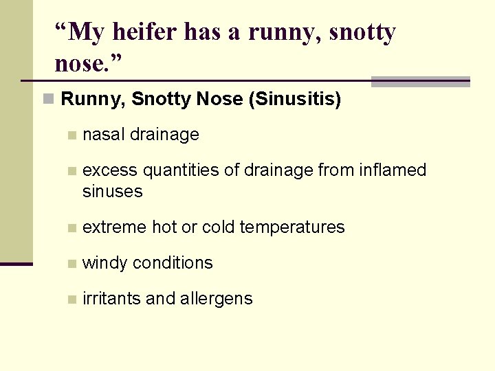 “My heifer has a runny, snotty nose. ” n Runny, Snotty Nose (Sinusitis) n