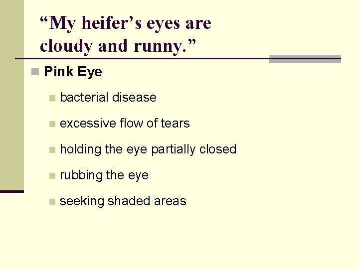 “My heifer’s eyes are cloudy and runny. ” n Pink Eye n bacterial disease