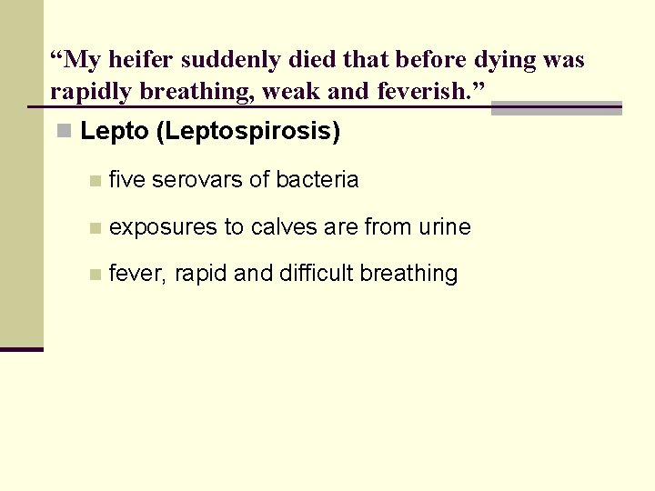 “My heifer suddenly died that before dying was rapidly breathing, weak and feverish. ”