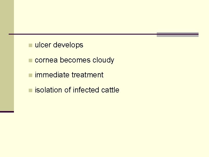 n ulcer develops n cornea becomes cloudy n immediate treatment n isolation of infected