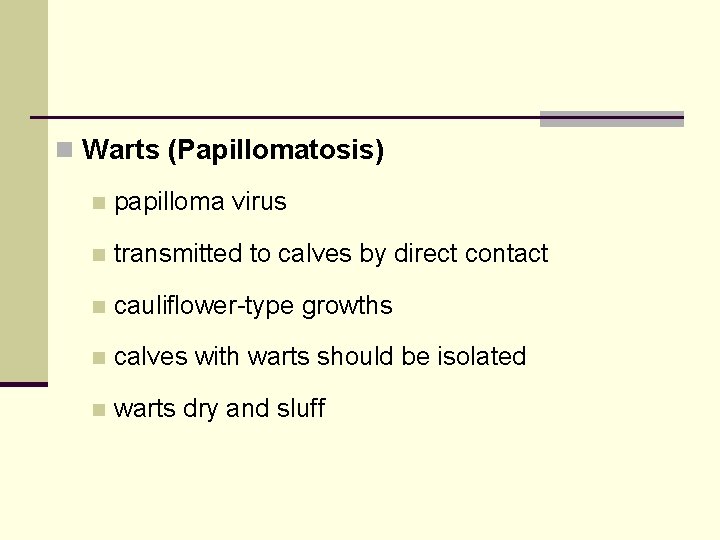 n Warts (Papillomatosis) n papilloma virus n transmitted to calves by direct contact n