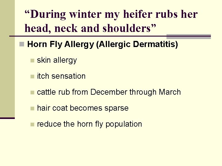 “During winter my heifer rubs her head, neck and shoulders” n Horn Fly Allergy