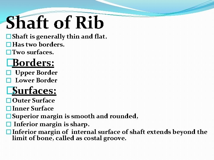 Shaft of Rib �Shaft is generally thin and flat. �Has two borders. �Two surfaces.