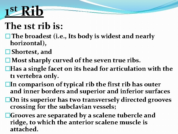 st 1 Rib The 1 st rib is: � The broadest (i. e. ,