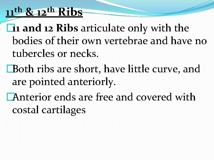 11 th & 12 th Ribs � 11 and 12 Ribs articulate only with