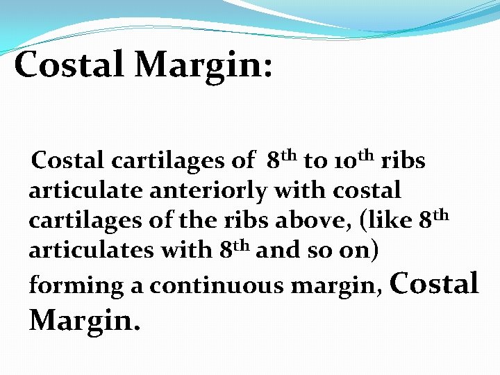 Costal Margin: Costal cartilages of 8 th to 10 th ribs articulate anteriorly with