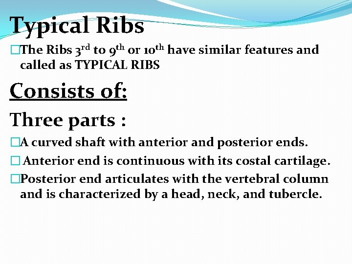 Typical Ribs �The Ribs 3 rd to 9 th or 10 th have similar