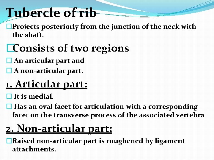 Tubercle of rib �Projects posteriorly from the junction of the neck with the shaft.