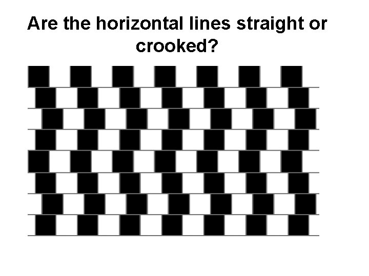 Are the horizontal lines straight or crooked? 