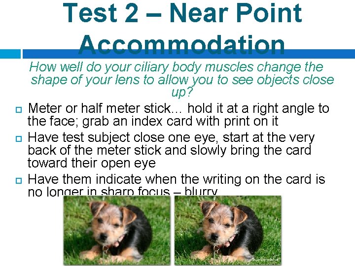 Test 2 – Near Point Accommodation How well do your ciliary body muscles change