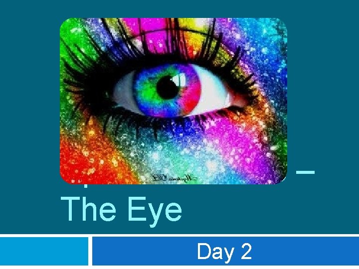 Special Senses – The Eye Day 2 
