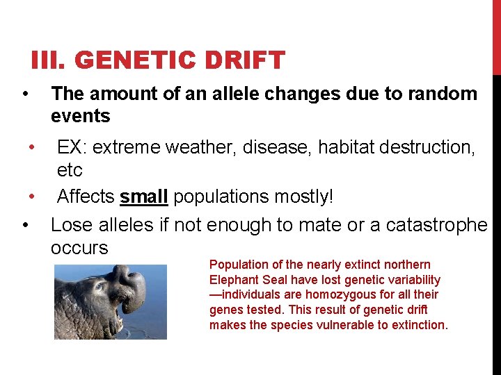 III. GENETIC DRIFT • The amount of an allele changes due to random events